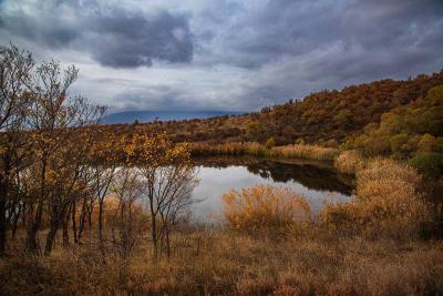 Прикрепленное изображение: Ze4nvwfpeng.jpg